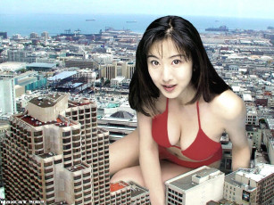 обоя юмор, приколы