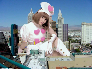 обоя юмор, приколы