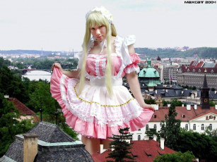 обоя юмор, приколы