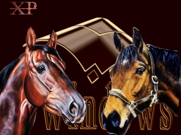 Обои картинки фото duet, компьютеры, windows, xp