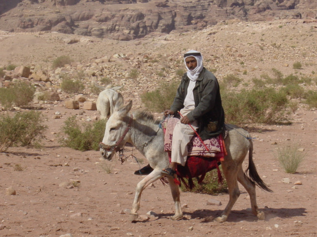 Обои картинки фото мужчины, unsort