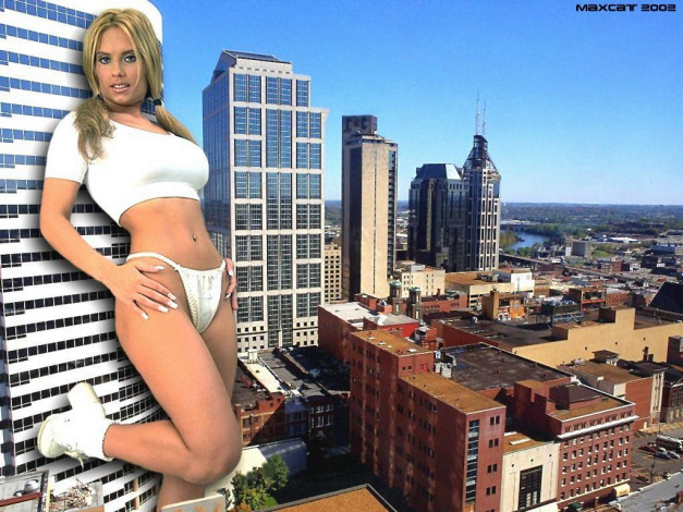 Обои картинки фото юмор, приколы