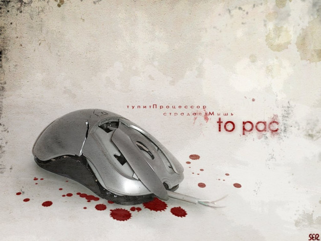 Обои картинки фото юмор, приколы