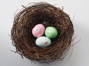 Картинка еда Яйца