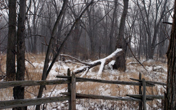 Картинка зима природа