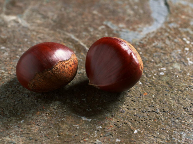 Обои картинки фото еда, орехи, каштаны