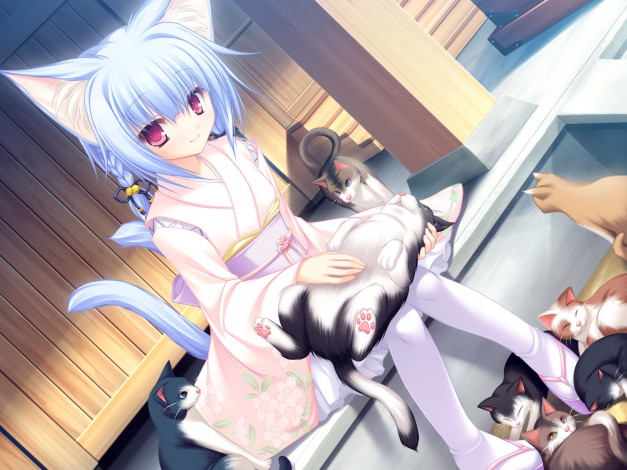 Обои картинки фото аниме, animals