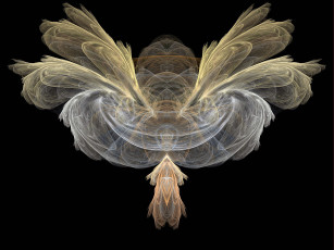 Картинка 3д графика fractal фракталы абстракция