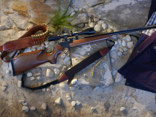 Картинка оружие винтовки прицеломприцелы ствол прицел патронтаж