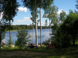 Картинка природа реки озера река береза