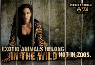 Картинка бренды peta people for the ethical treatment of animals застенки