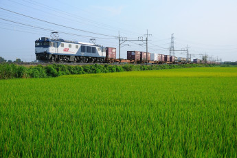 Картинка техника поезда поезд