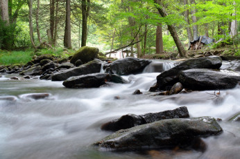 Картинка природа реки озера река лес камни