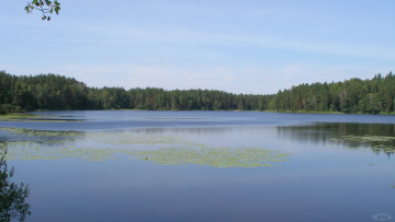 Картинка Чарское озеро природа реки озера лес небо вода