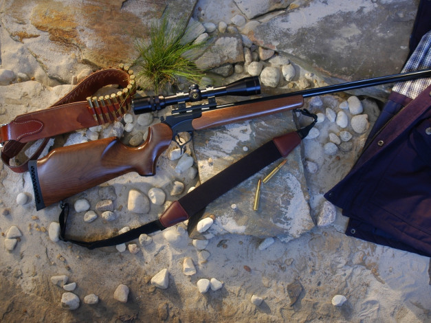 Обои картинки фото оружие, винтовки, прицеломприцелы, ствол, прицел, патронтаж