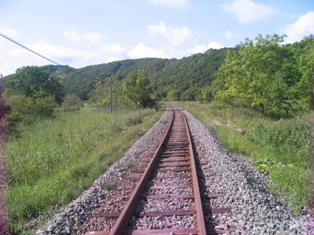 Обои картинки фото природа, дороги, камни, рельсы, лес