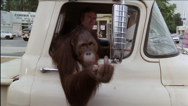 Обои картинки фото кино, фильмы, every, which, way, but, loose