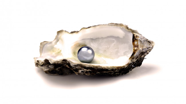 Обои картинки фото разное, ракушки, кораллы, декоративные, spa, камни, жемчуг, ракушка