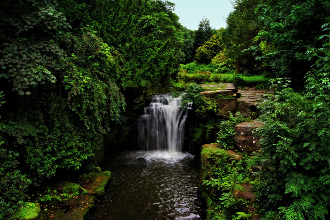 Обои картинки фото природа, водопады, река, лес