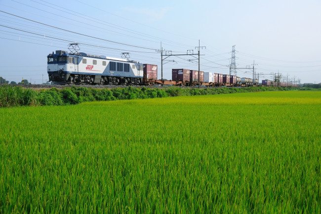 Обои картинки фото техника, поезда, поезд