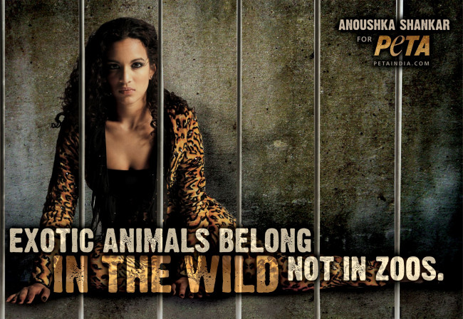 Обои картинки фото бренды, peta, people, for, the, ethical, treatment, of, animals, застенки