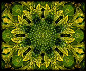 Картинка 3д графика fractal фракталы фон цвета узор