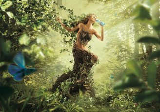 Картинка бренды другое вода лес дриада