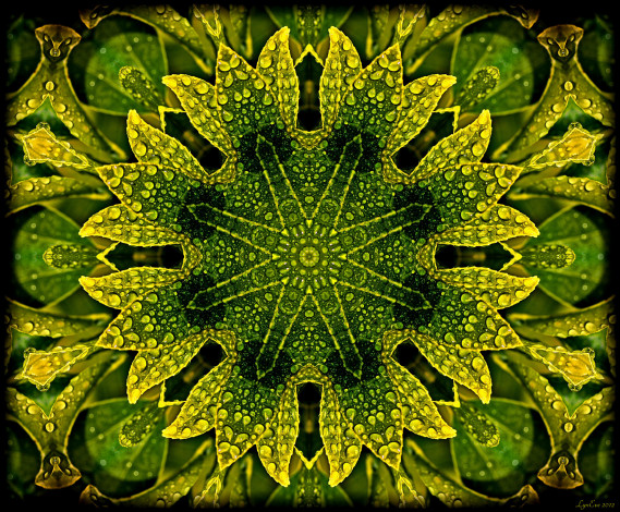 Обои картинки фото 3д, графика, fractal, фракталы, фон, цвета, узор