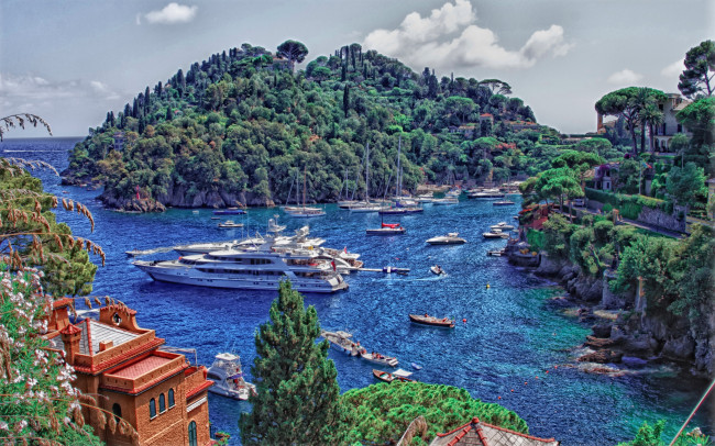 Обои картинки фото корабли, разные, вместе, яхты, море, бухта, лодки, катера