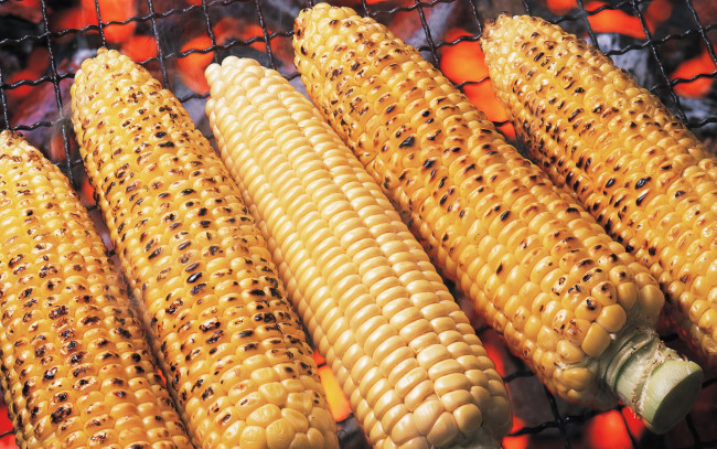 Обои картинки фото еда, кукуруза