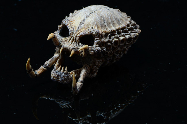 Обои картинки фото 3д, графика, horror, ужас, череп