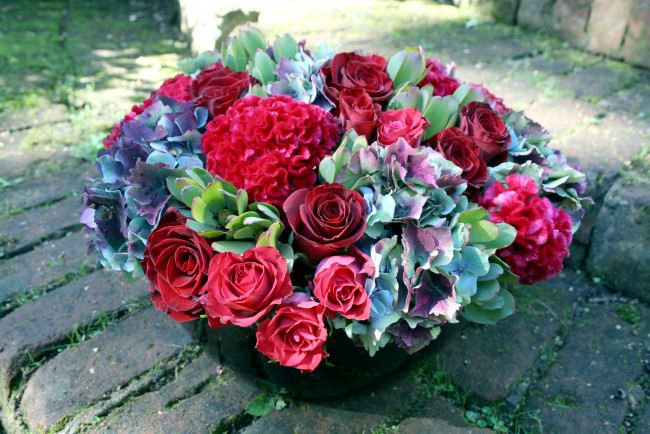 Обои картинки фото цветы, букеты, композиции, розы, гортензия, гребешок