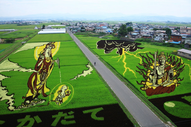 Обои картинки фото природа, дороги, дорога, поле