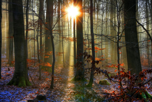 Обои картинки фото природа, восходы, закаты