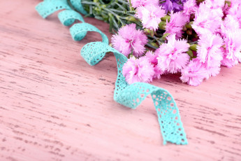 Картинка цветы гвоздики лента букет bouquet flowers pink