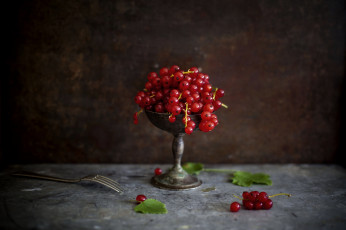 Картинка еда смородина красная