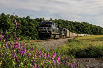 Картинка техника поезда состав локомотив рельсы дорога железная