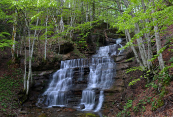 Картинка природа водопады река лес водопад