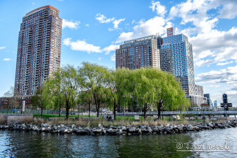 Картинка города -+панорамы long island city город деревья здания