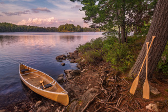 Картинка корабли лодки +шлюпки каноэ река лес