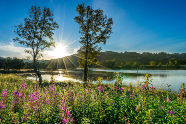 Обои картинки фото природа, восходы, закаты, река, лес