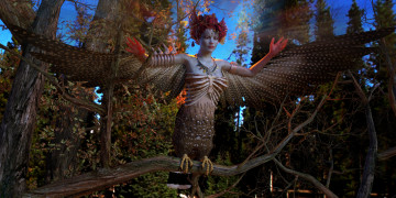 Картинка 3д+графика существа+ creatures крылья фон ветки девушка взгляд