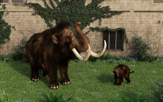 Обои картинки фото 3д графика, животные , animals, фон, мамонт