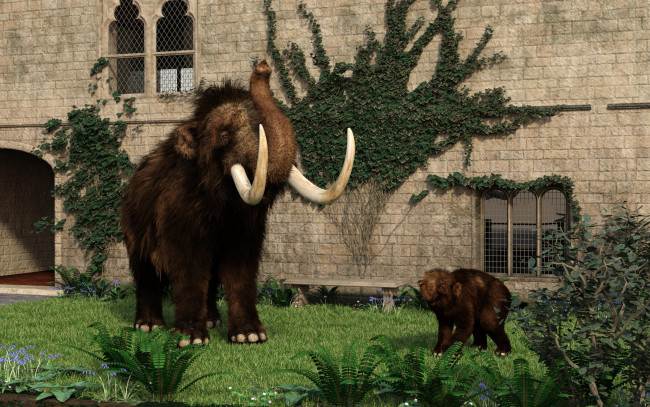 Обои картинки фото 3д графика, животные , animals, фон, мамонт