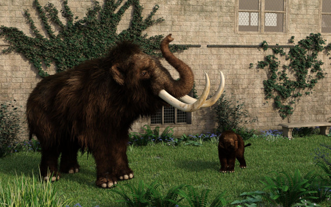 Обои картинки фото 3д графика, животные , animals, фон, мамонт