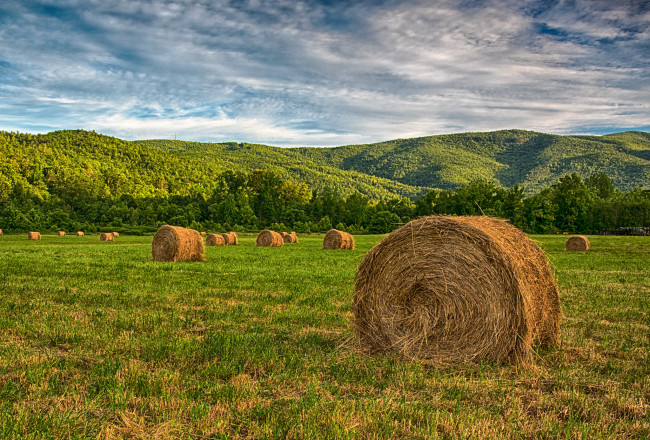 Обои картинки фото природа, поля, простор