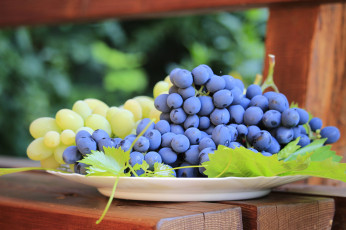 Картинка еда фрукты +ягоды снедь