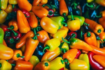 Картинка еда перец снедь