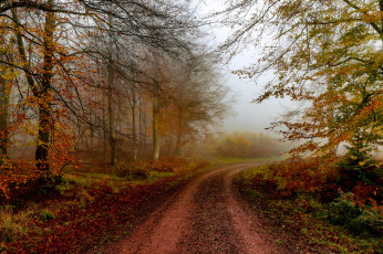 Картинка природа дороги простор