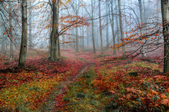 Картинка природа дороги простор